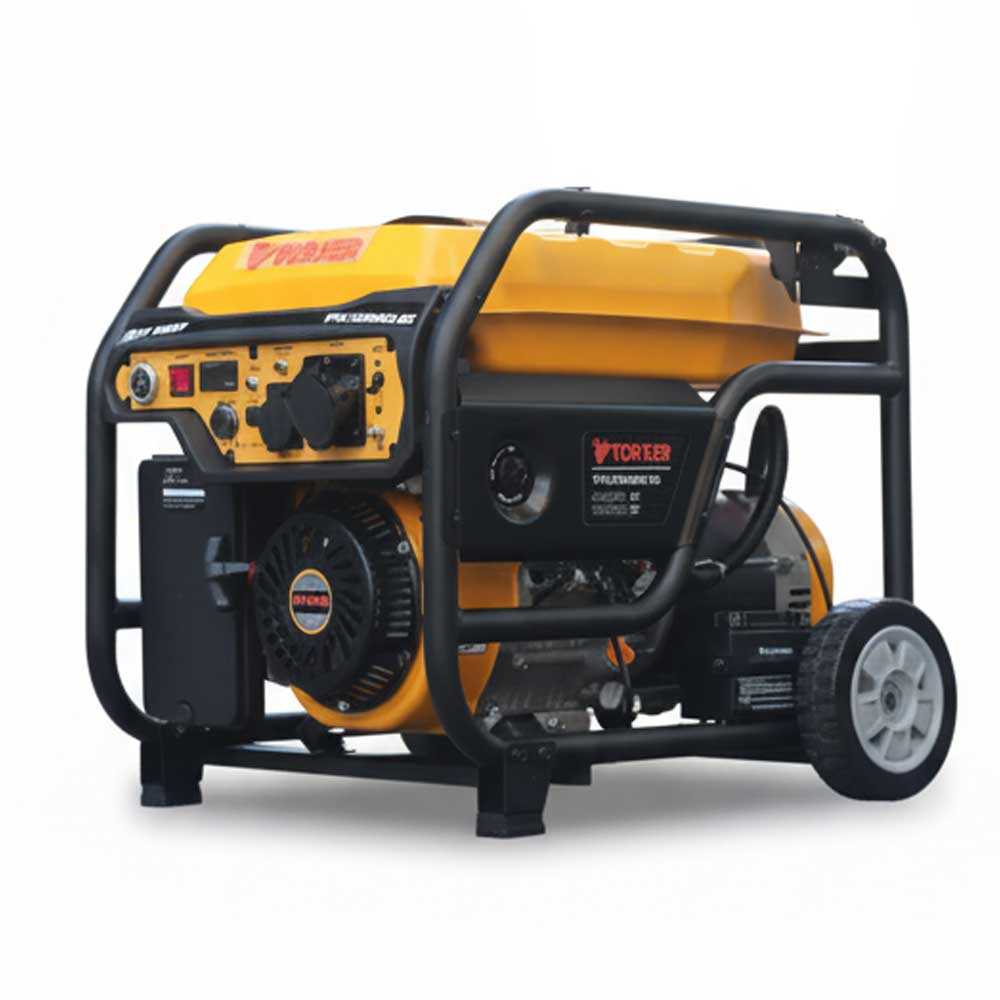 موتور برق تورکسر 10 کیلووات TORXER مدل TPG12500E2-RC ریموتی
